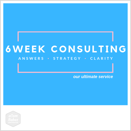 6 Week Done With You Consulting & eCommerce Strategy Development (Discontinued)